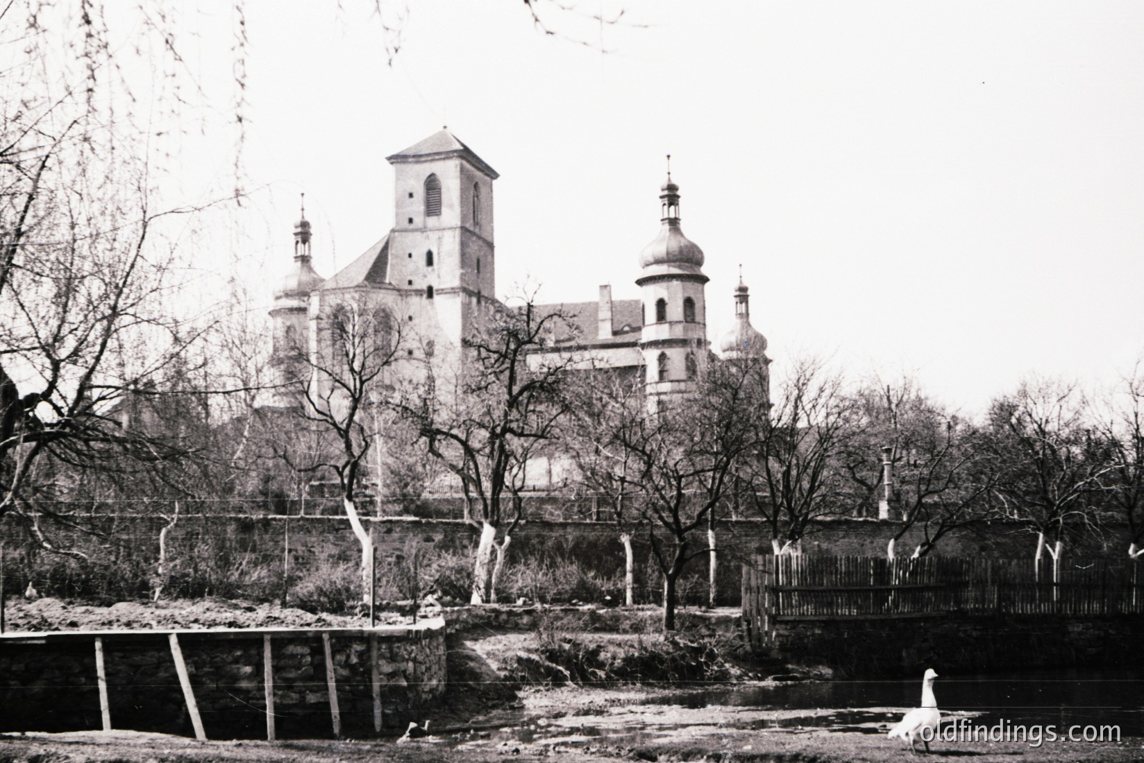 Vintage photograph