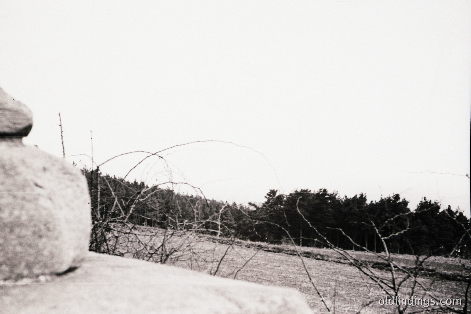 Vintage photograph