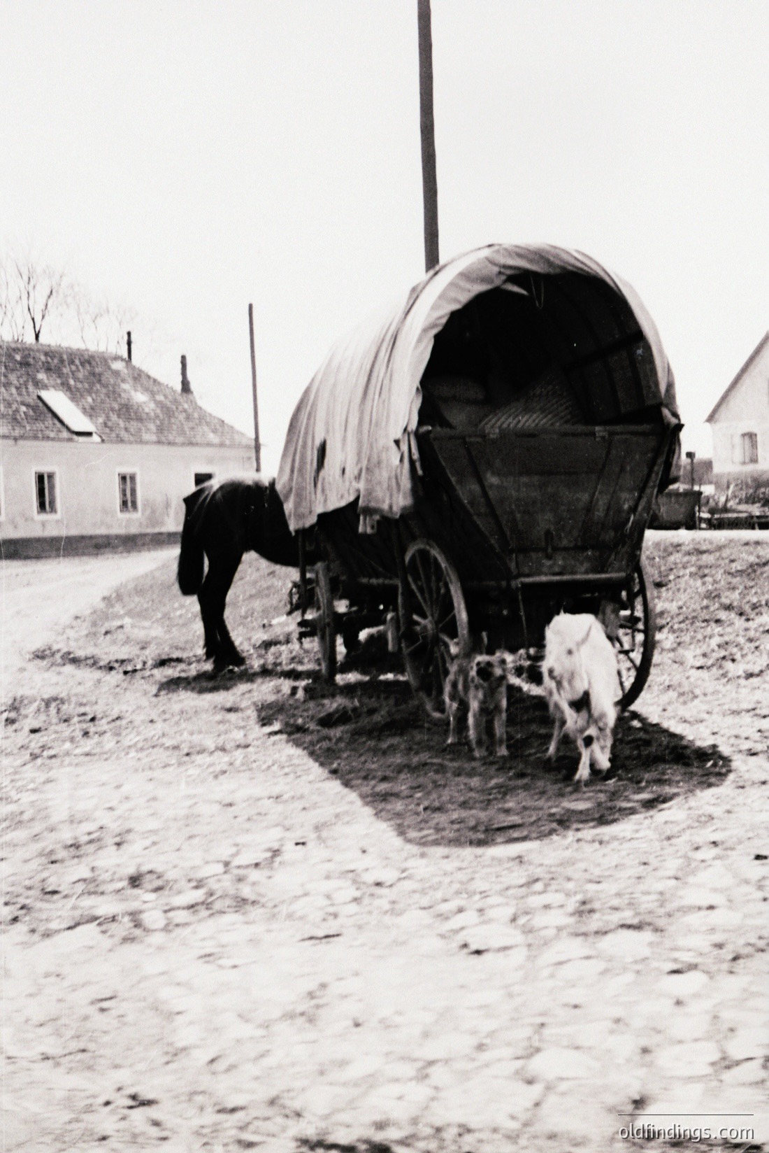 Vintage photograph