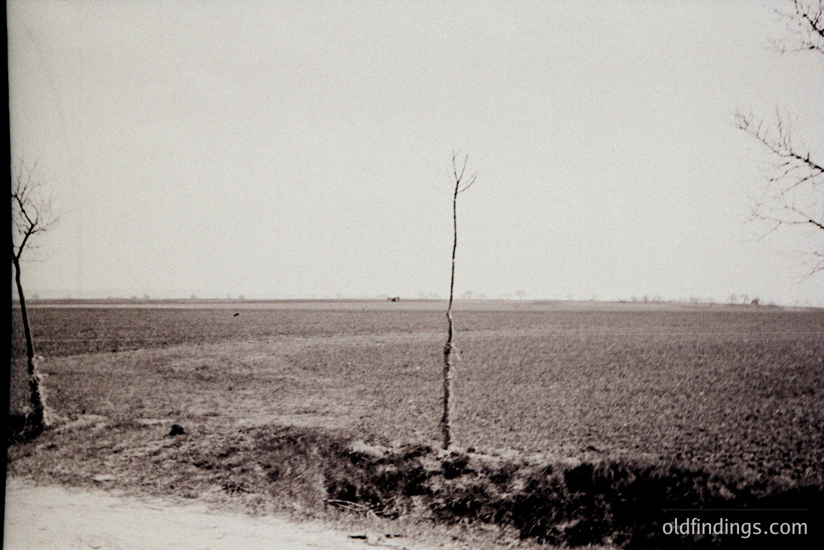 Vintage photograph