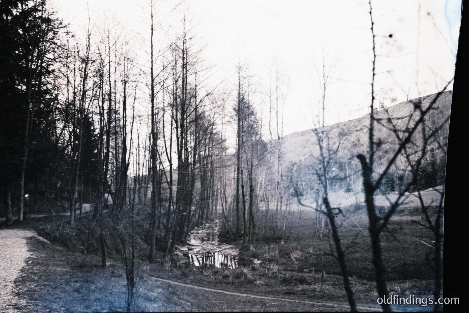 Vintage photograph