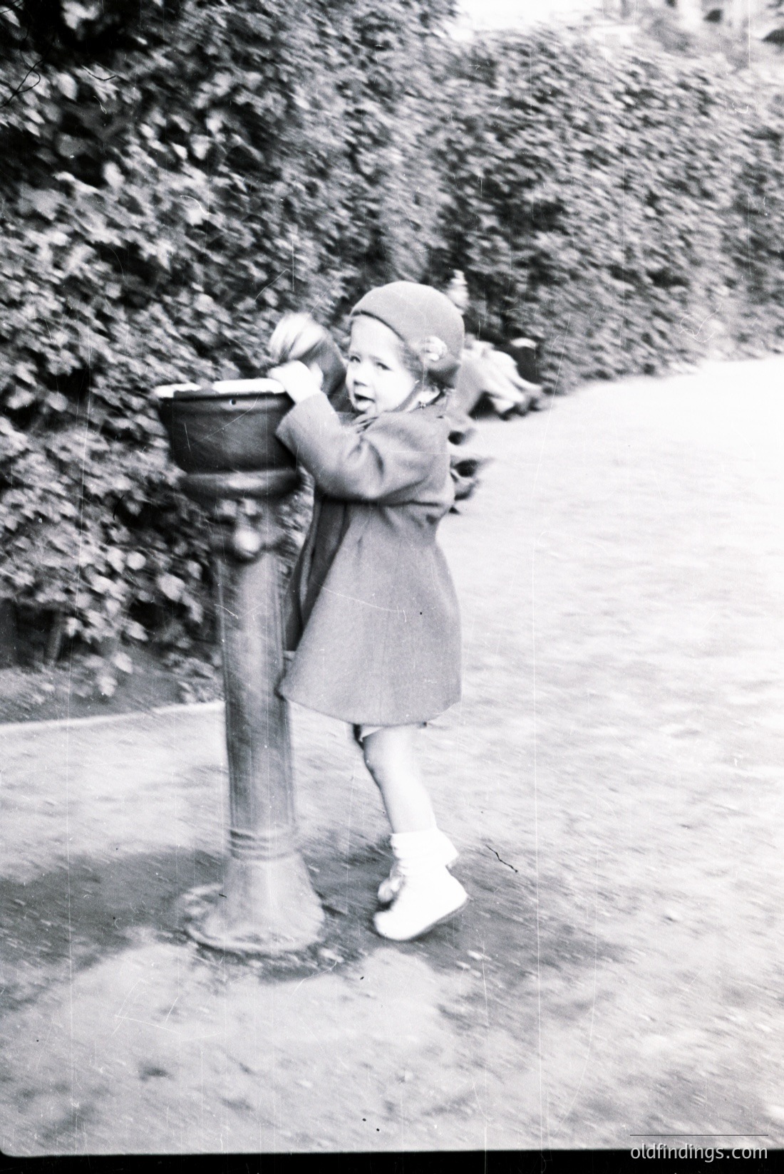 Vintage photograph