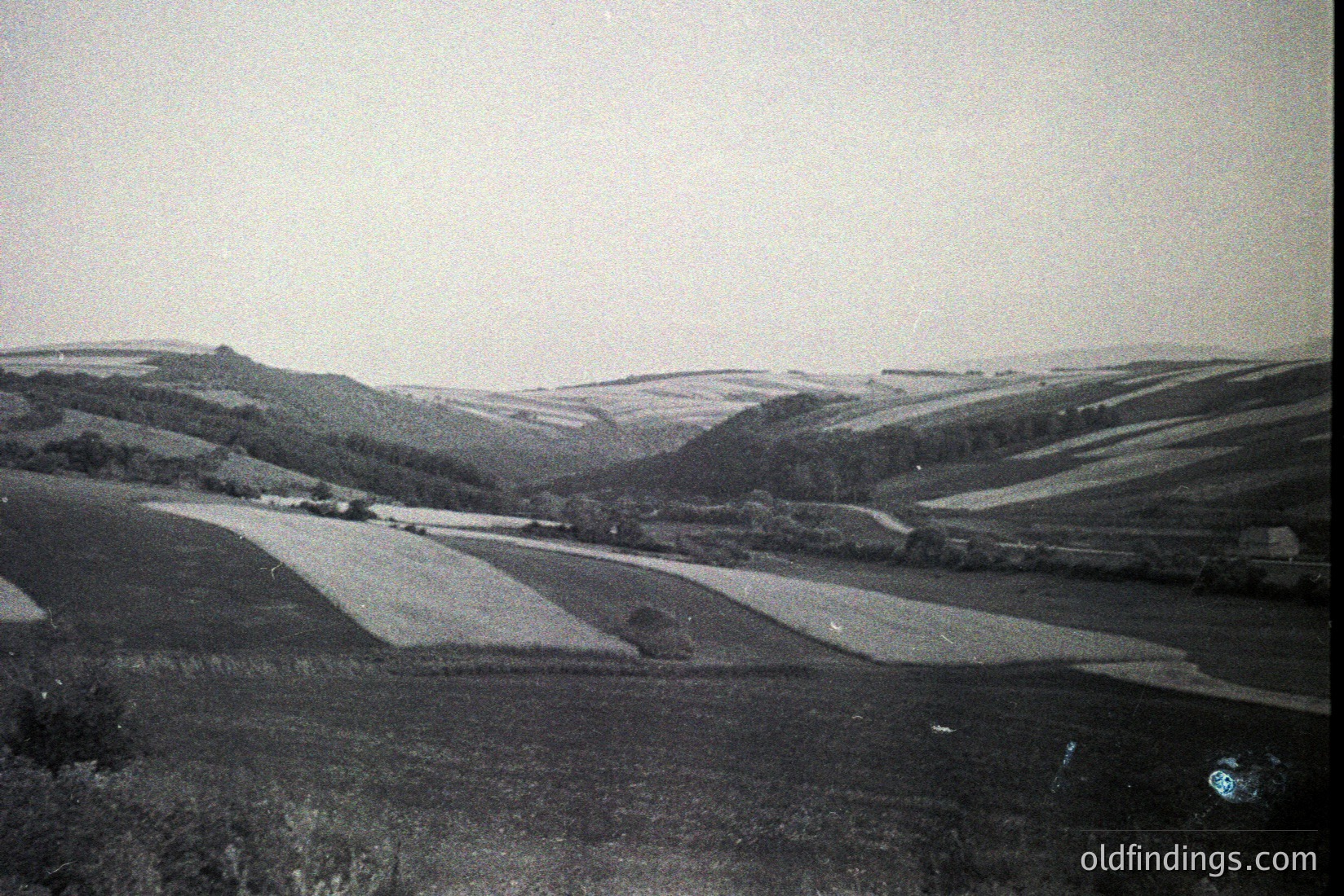 Vintage photograph