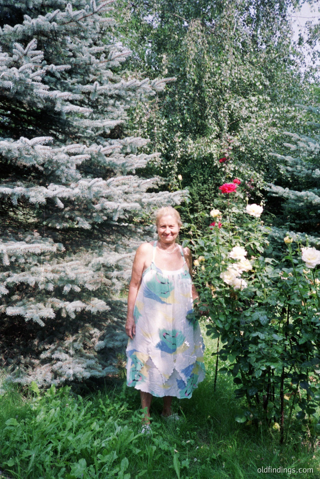 Vintage photograph
