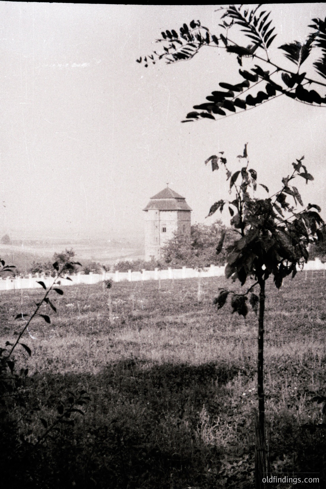 Vintage photograph