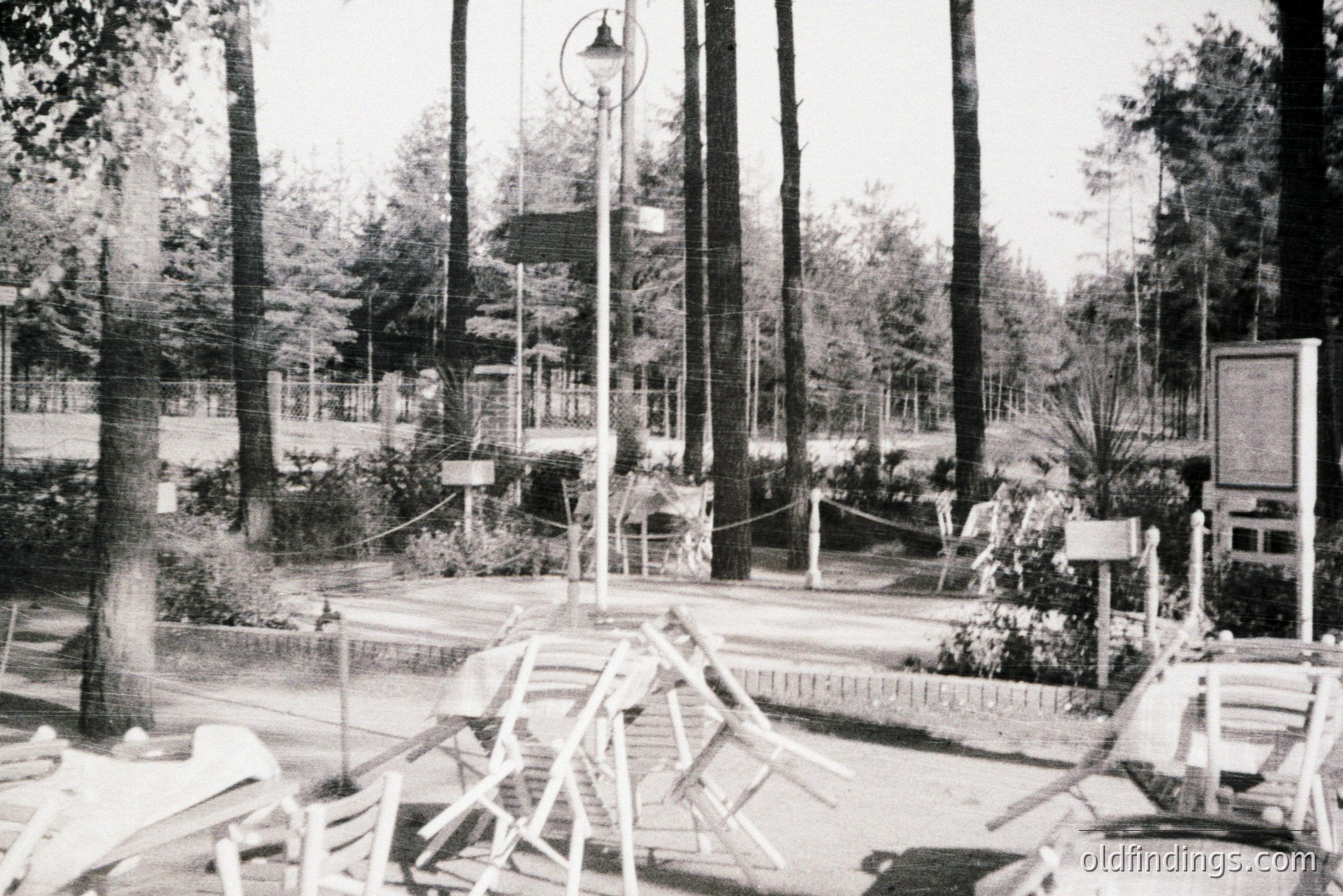Vintage photograph