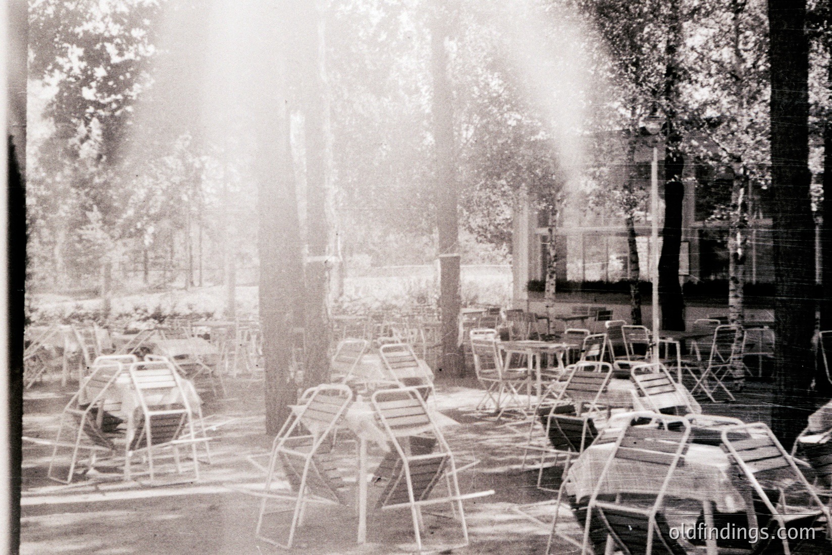 Vintage photograph