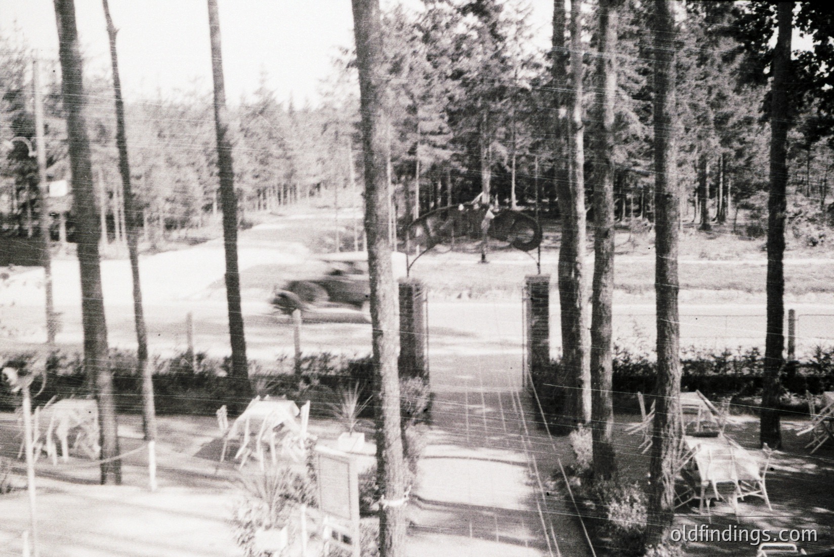 Vintage photograph