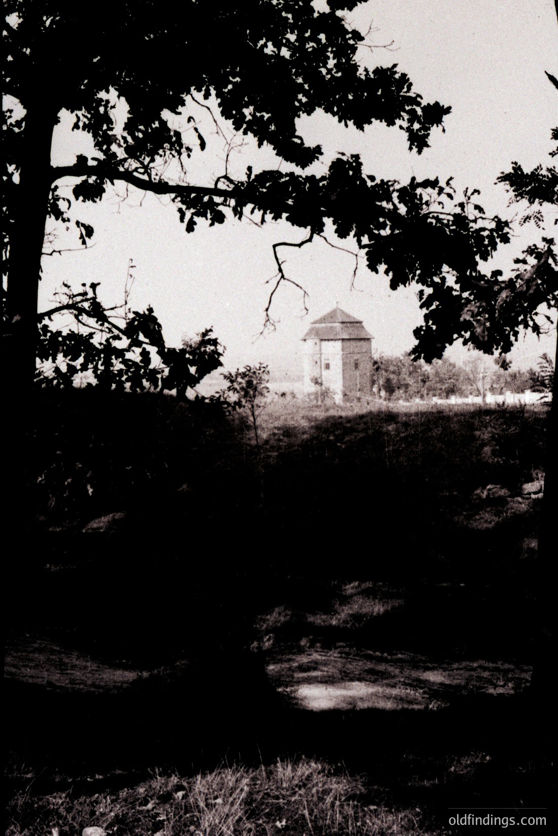 Vintage photograph
