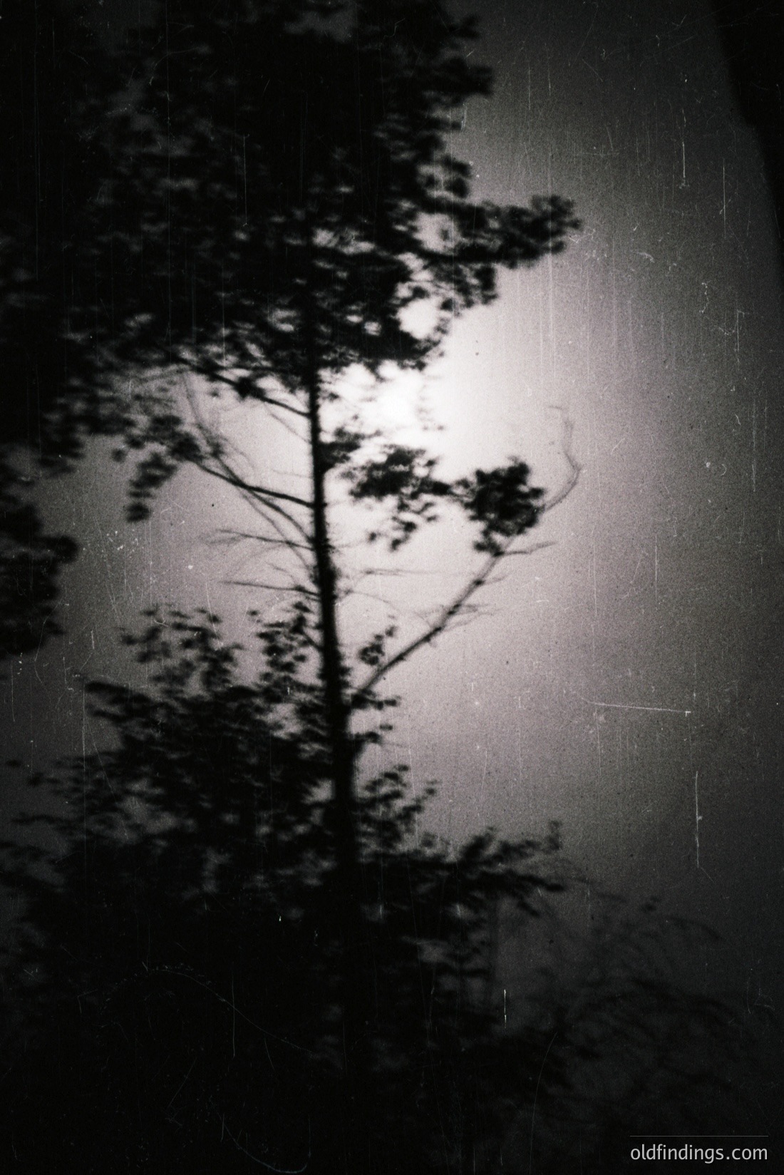 Vintage photograph