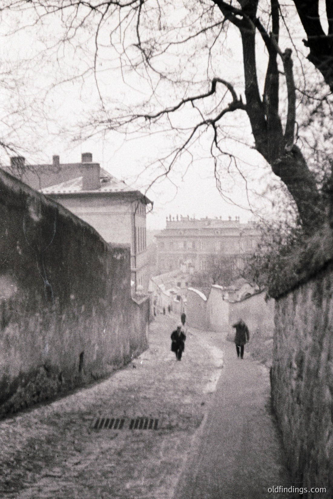 Vintage photograph