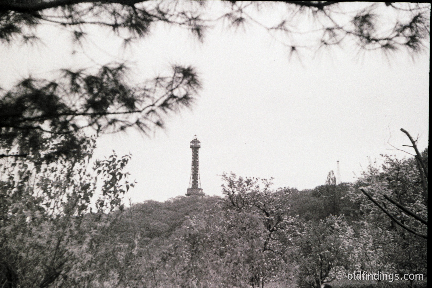 Vintage photograph
