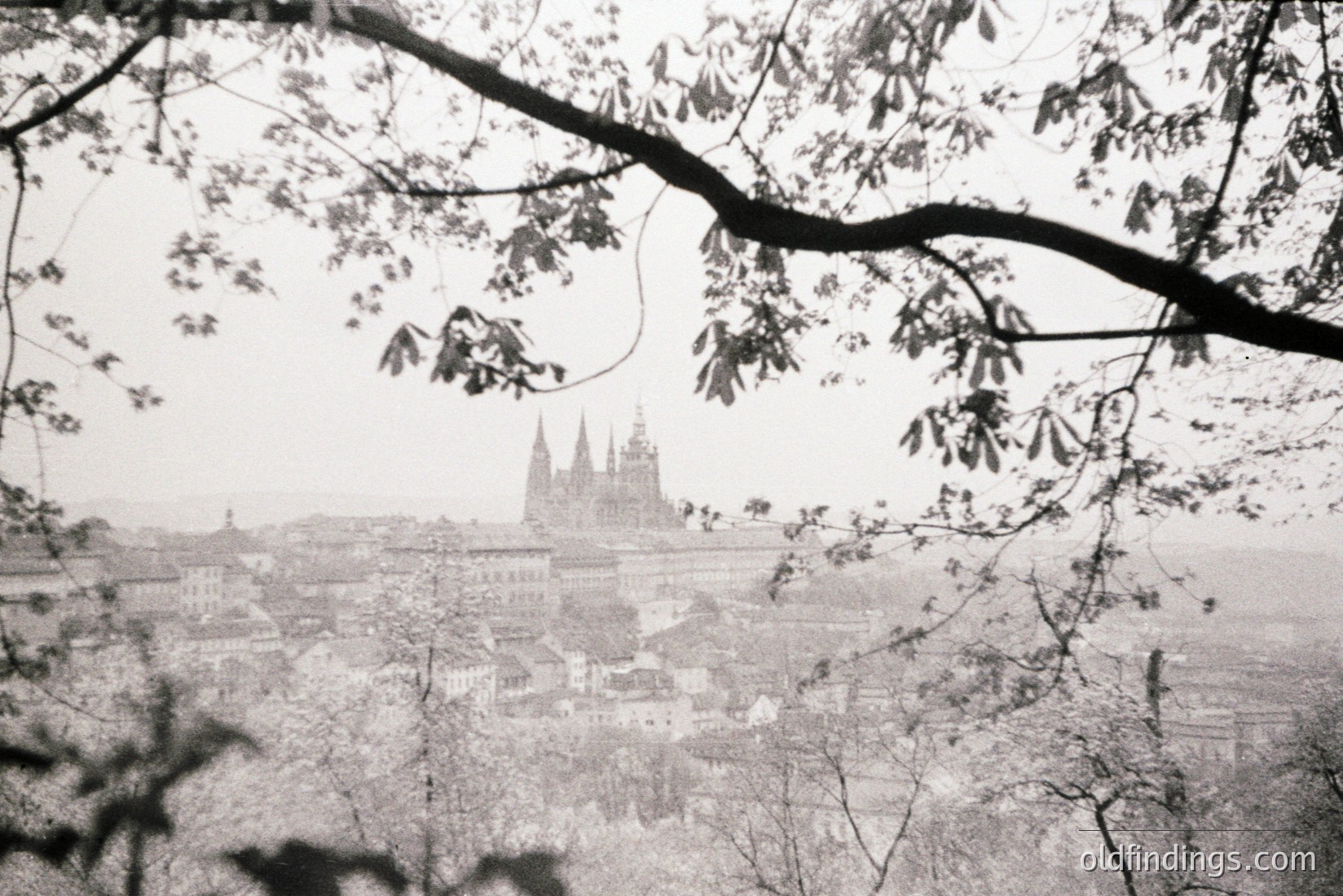 Vintage photograph
