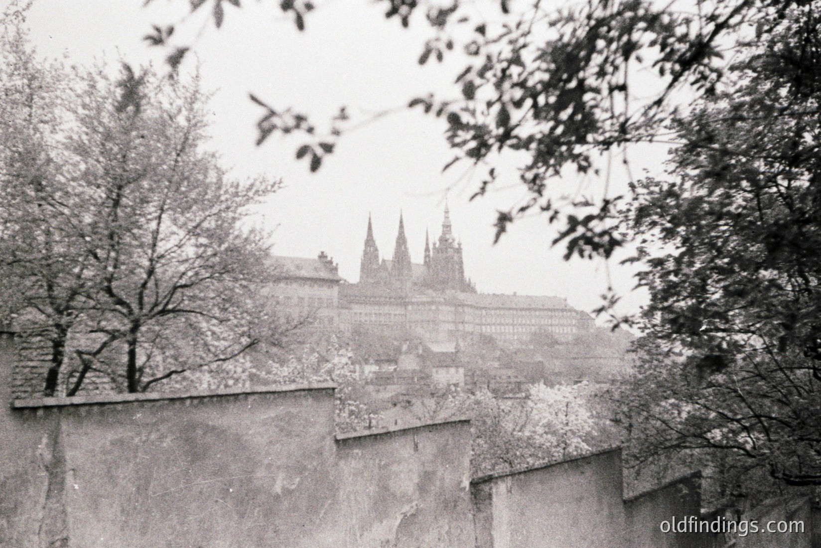 Vintage photograph