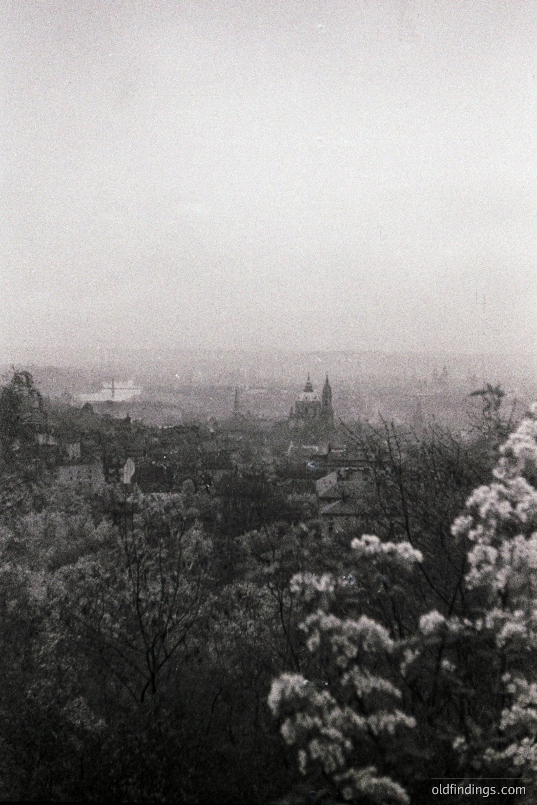Vintage photograph