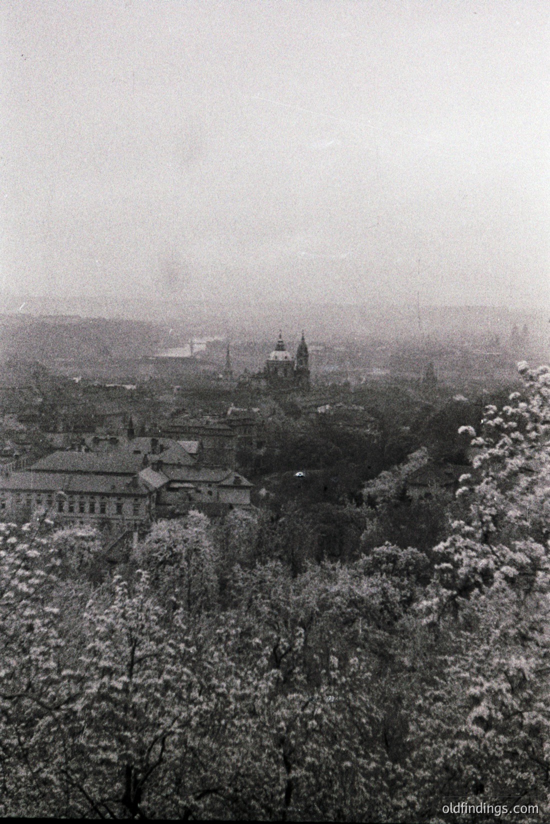 Vintage photograph
