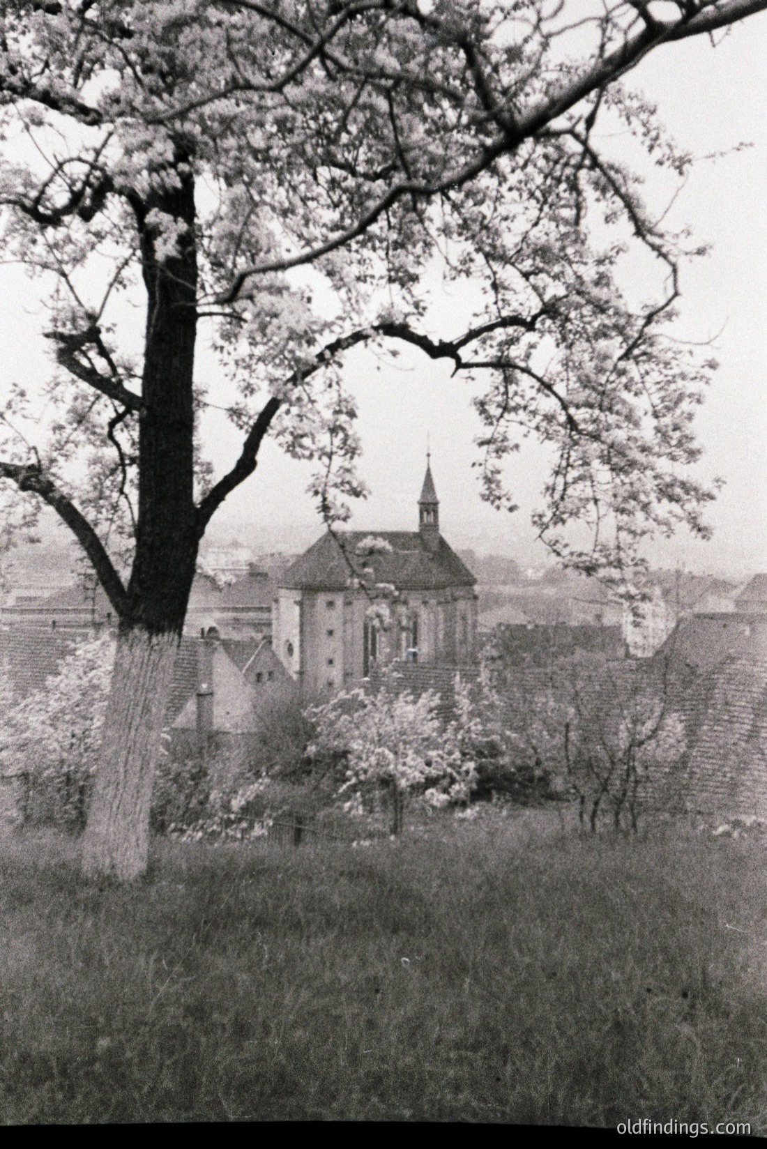 Vintage photograph