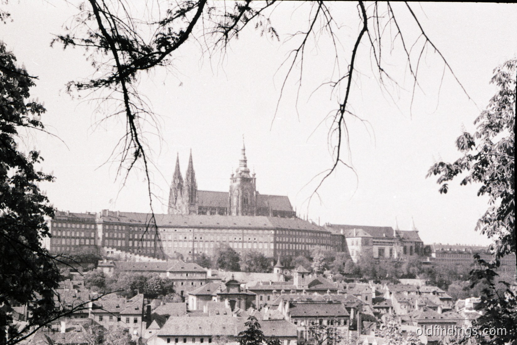 Vintage photograph