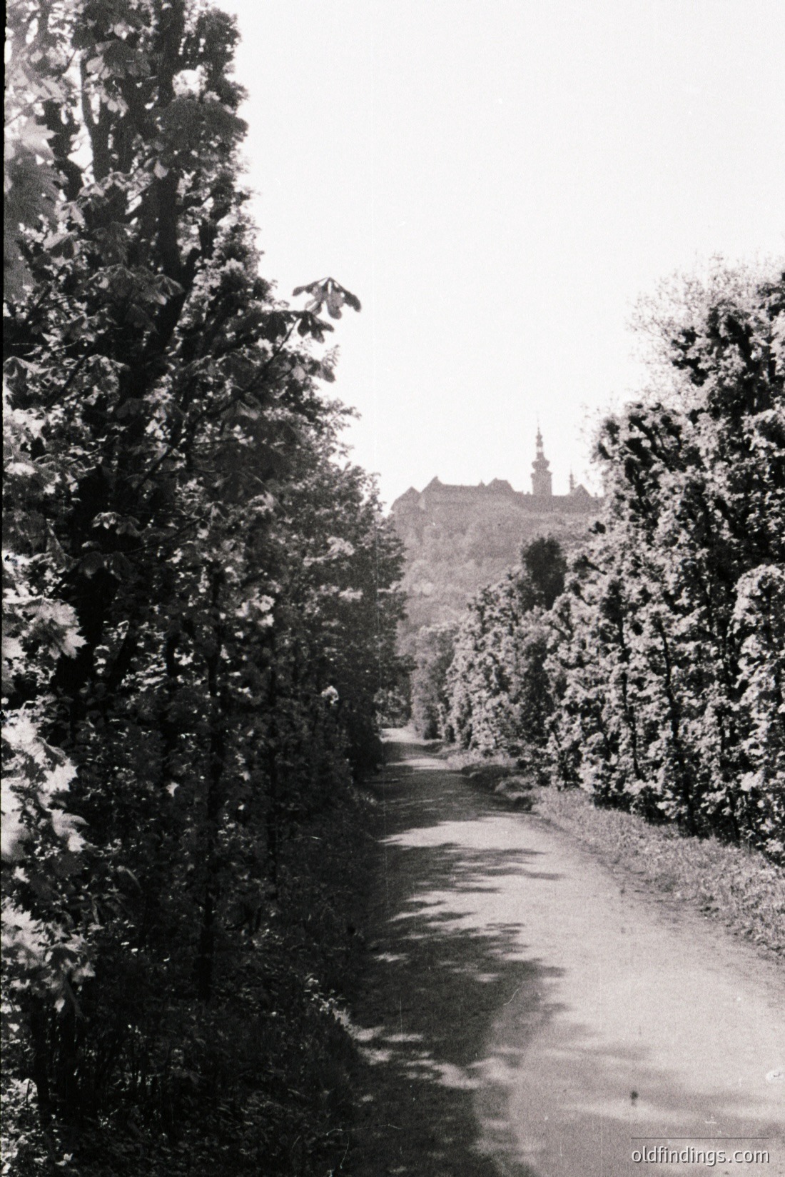 Vintage photograph
