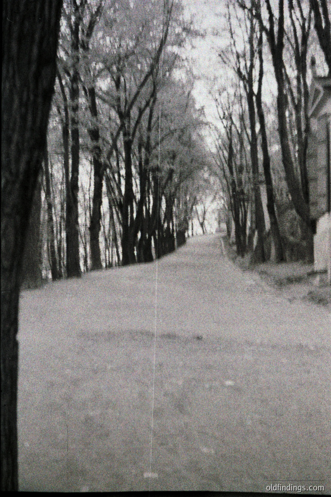 Vintage photograph
