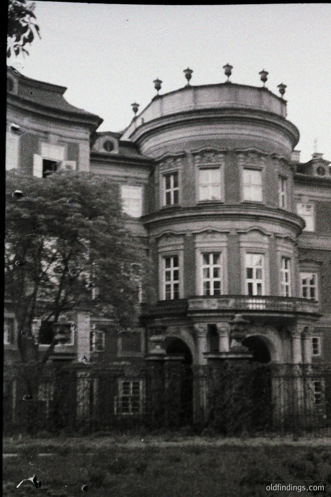Vintage photograph