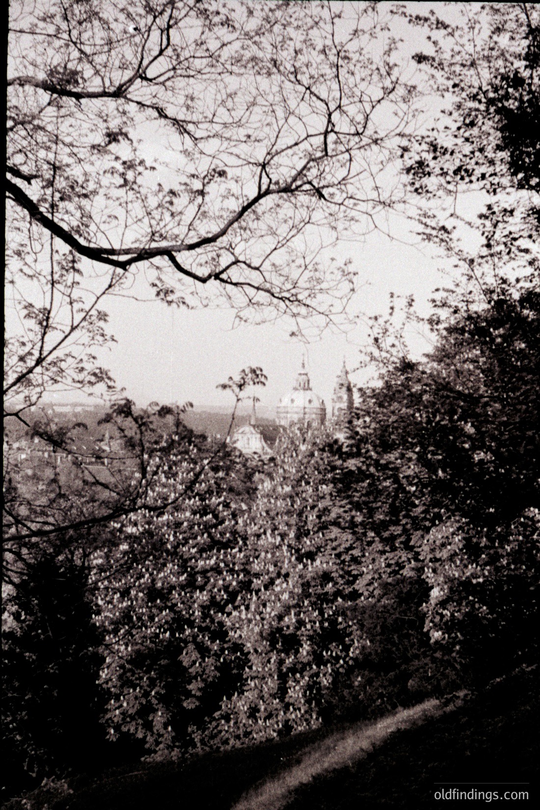 Vintage photograph