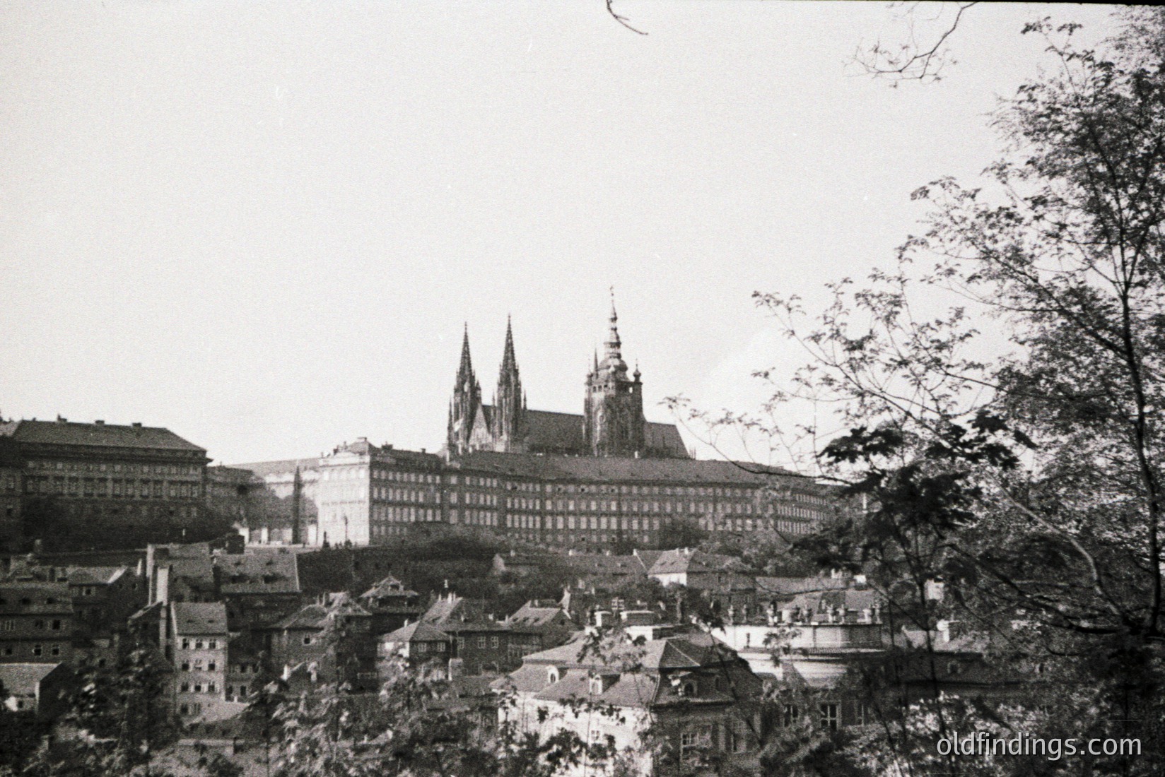 Vintage photograph
