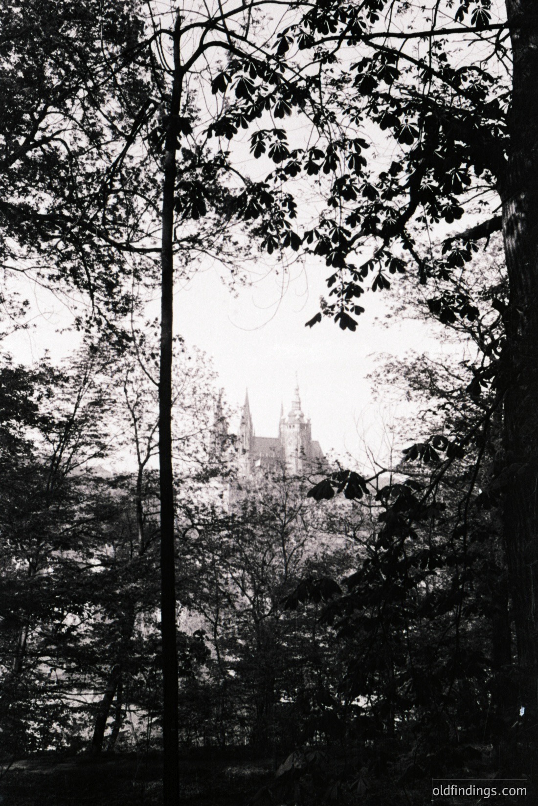 Vintage photograph