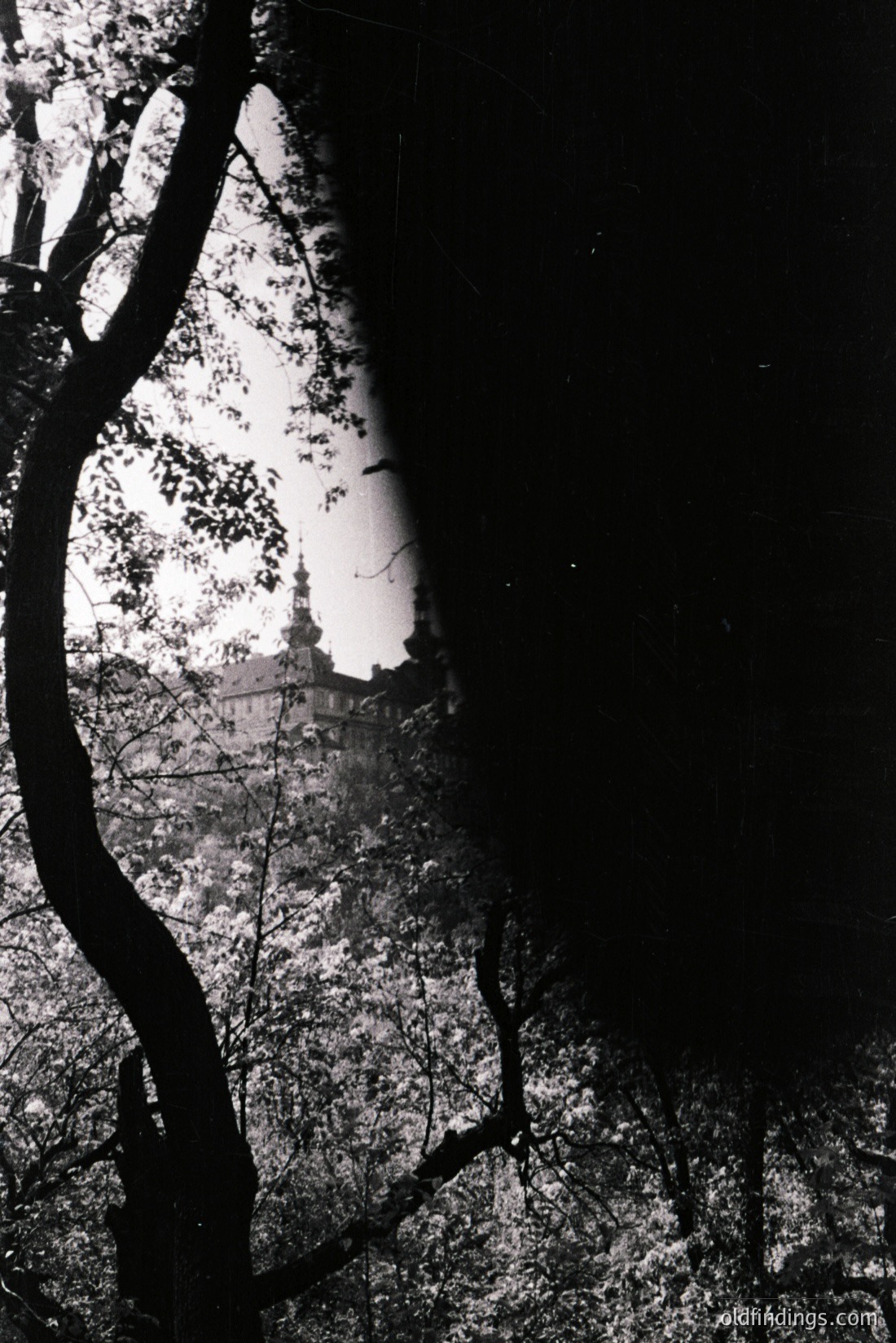 Vintage photograph