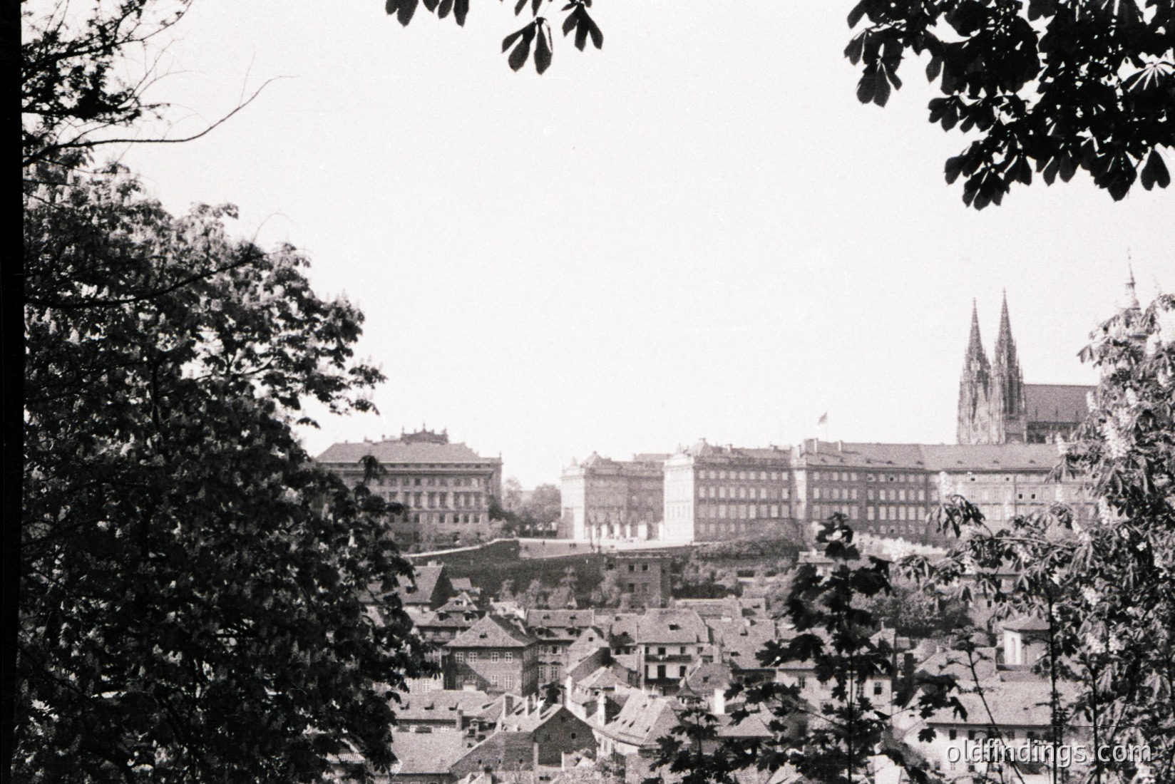 Vintage photograph