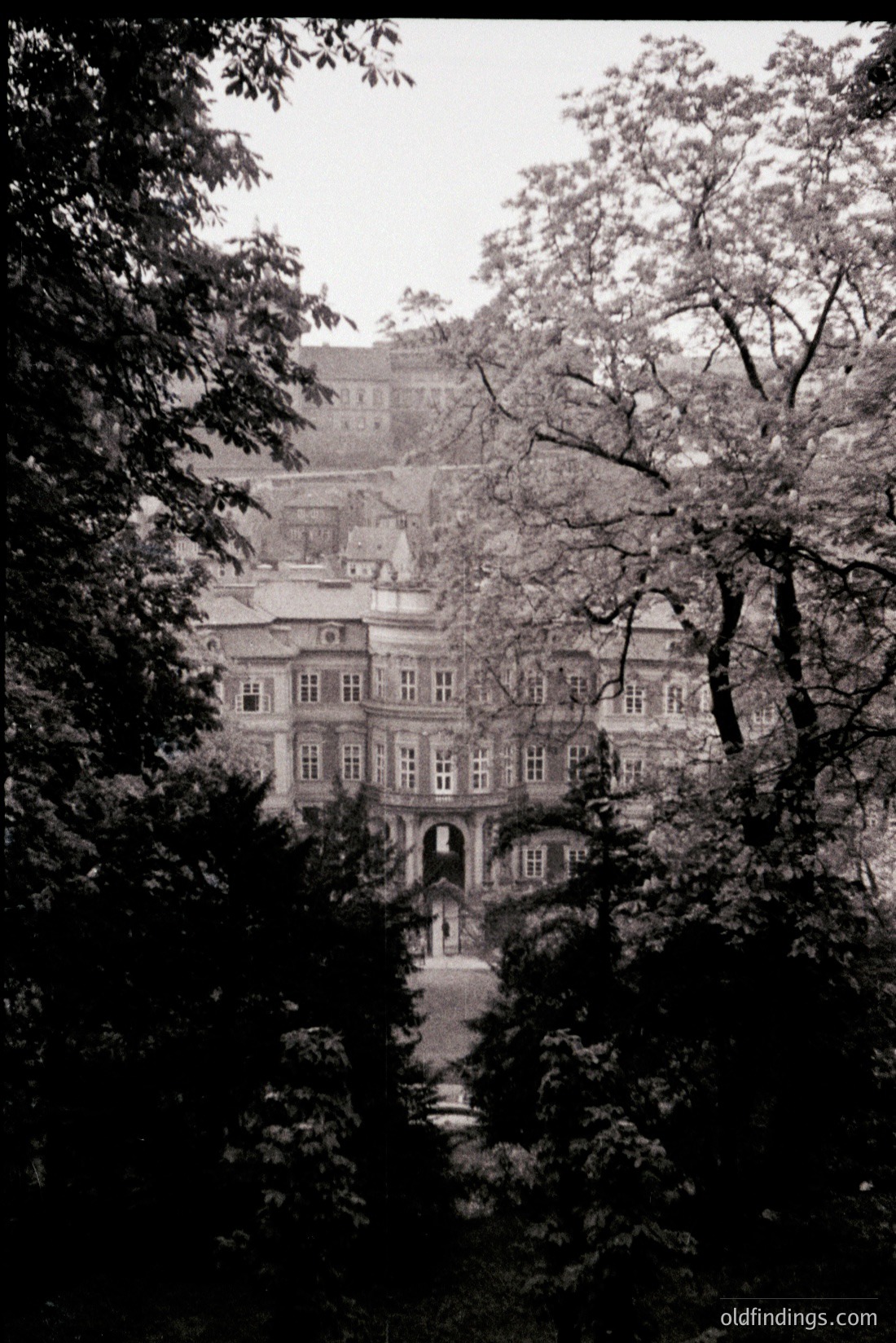 Vintage photograph