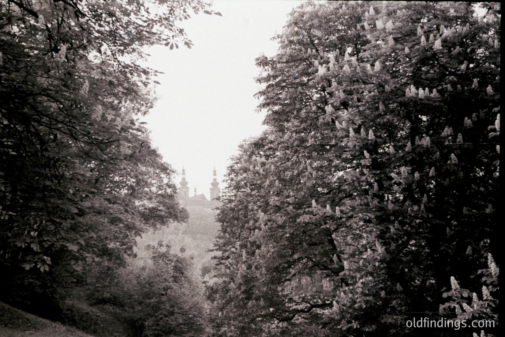 Vintage photograph