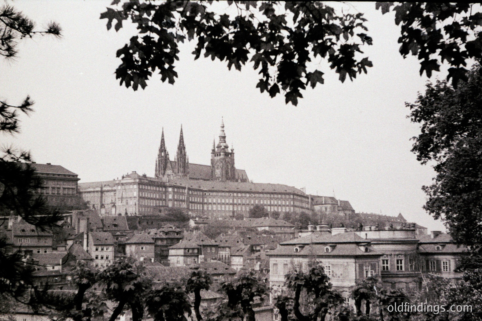 Vintage photograph