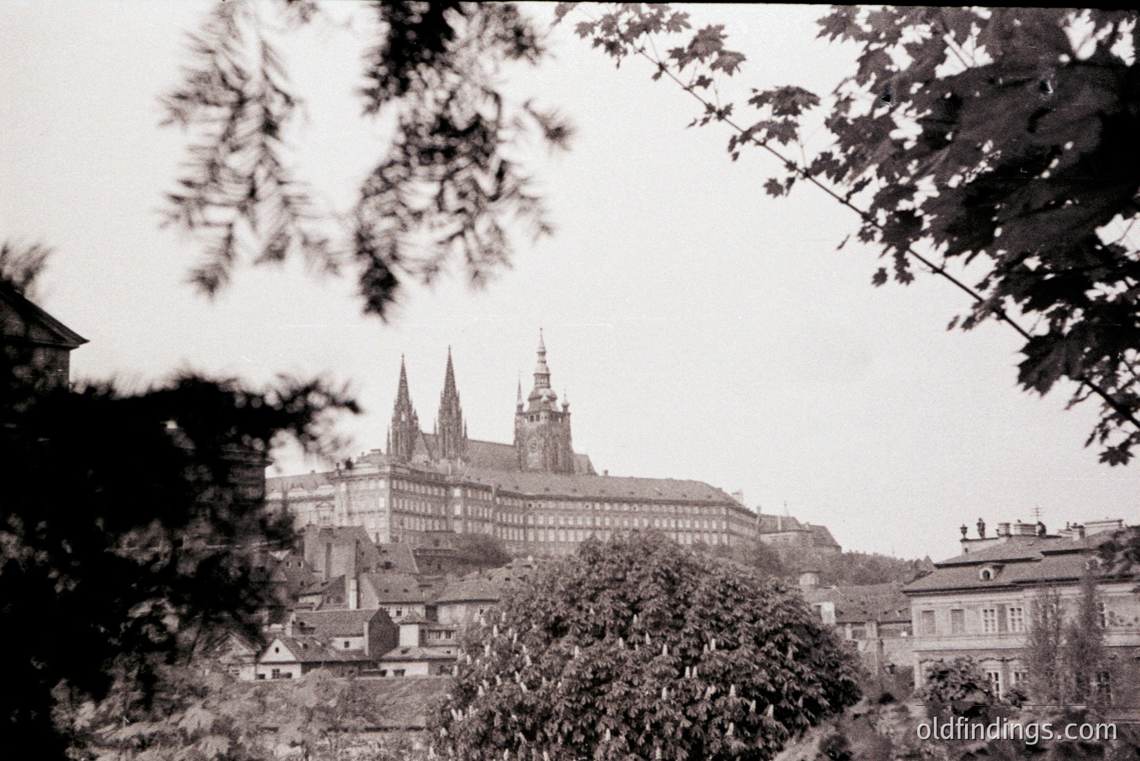 Vintage photograph