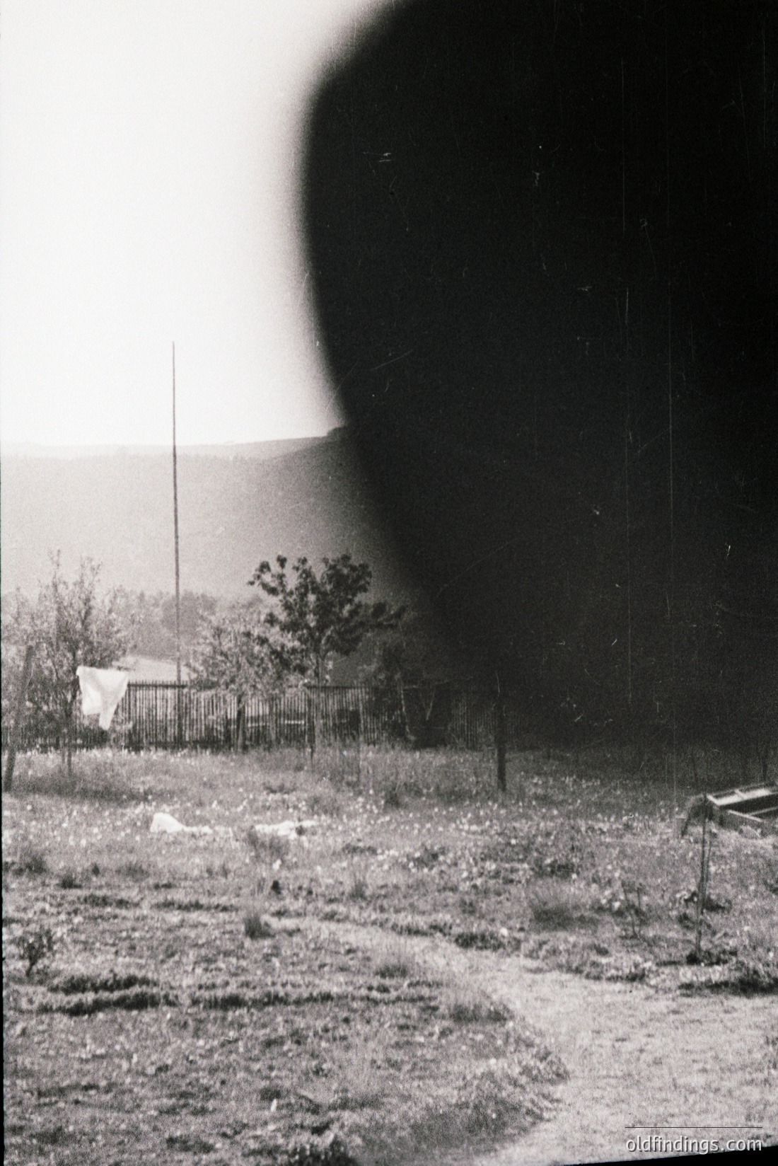 Vintage photograph