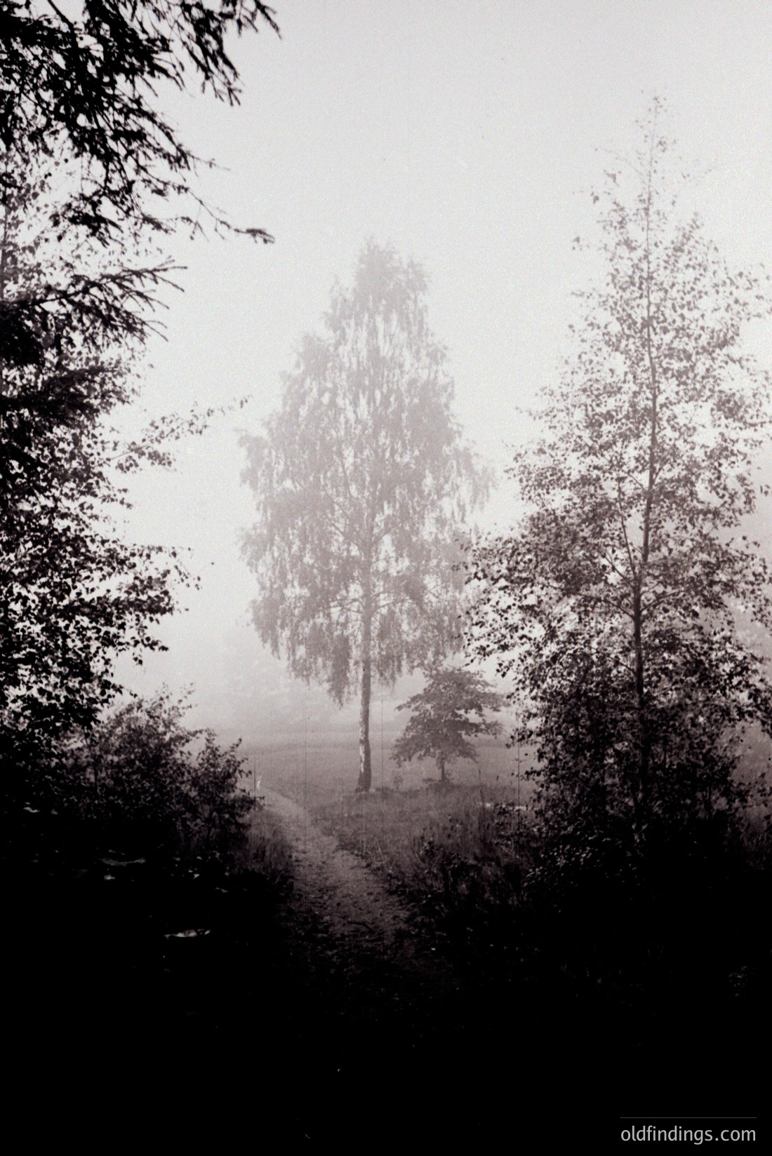 Vintage photograph