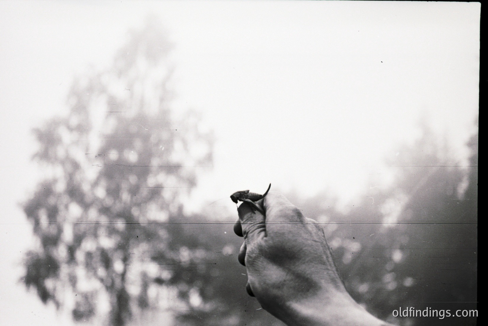 Vintage photograph