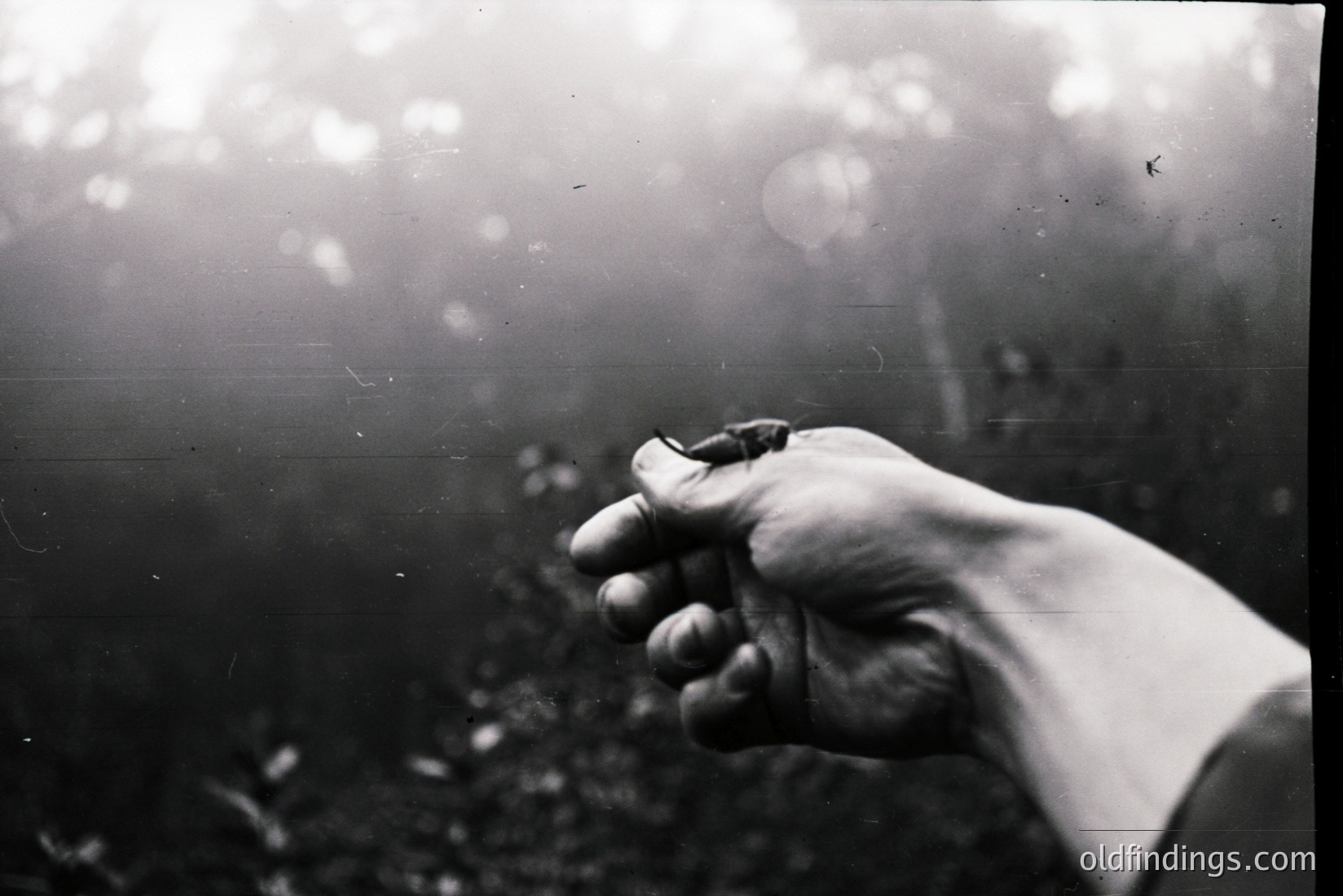 Vintage photograph