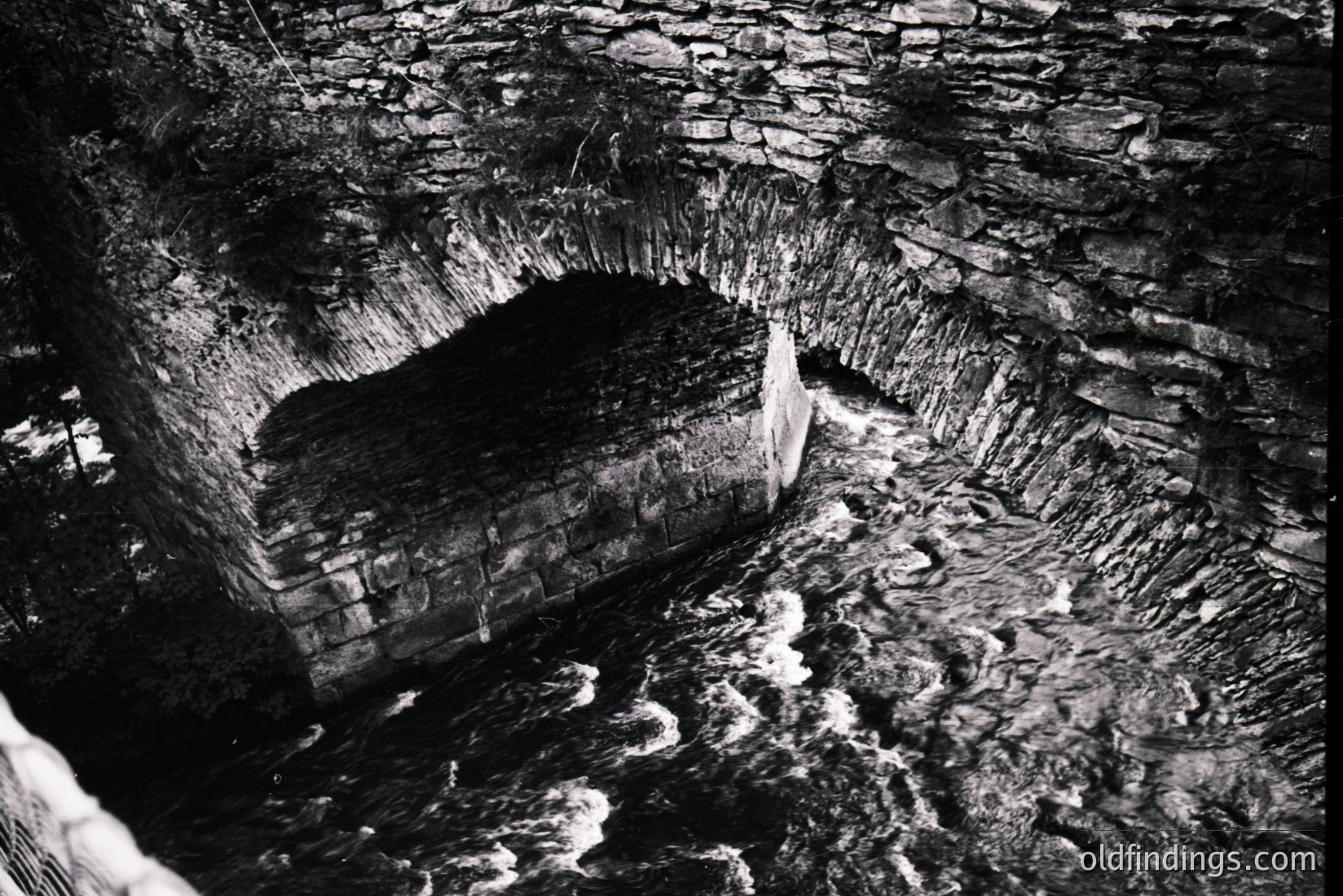 Vintage photograph