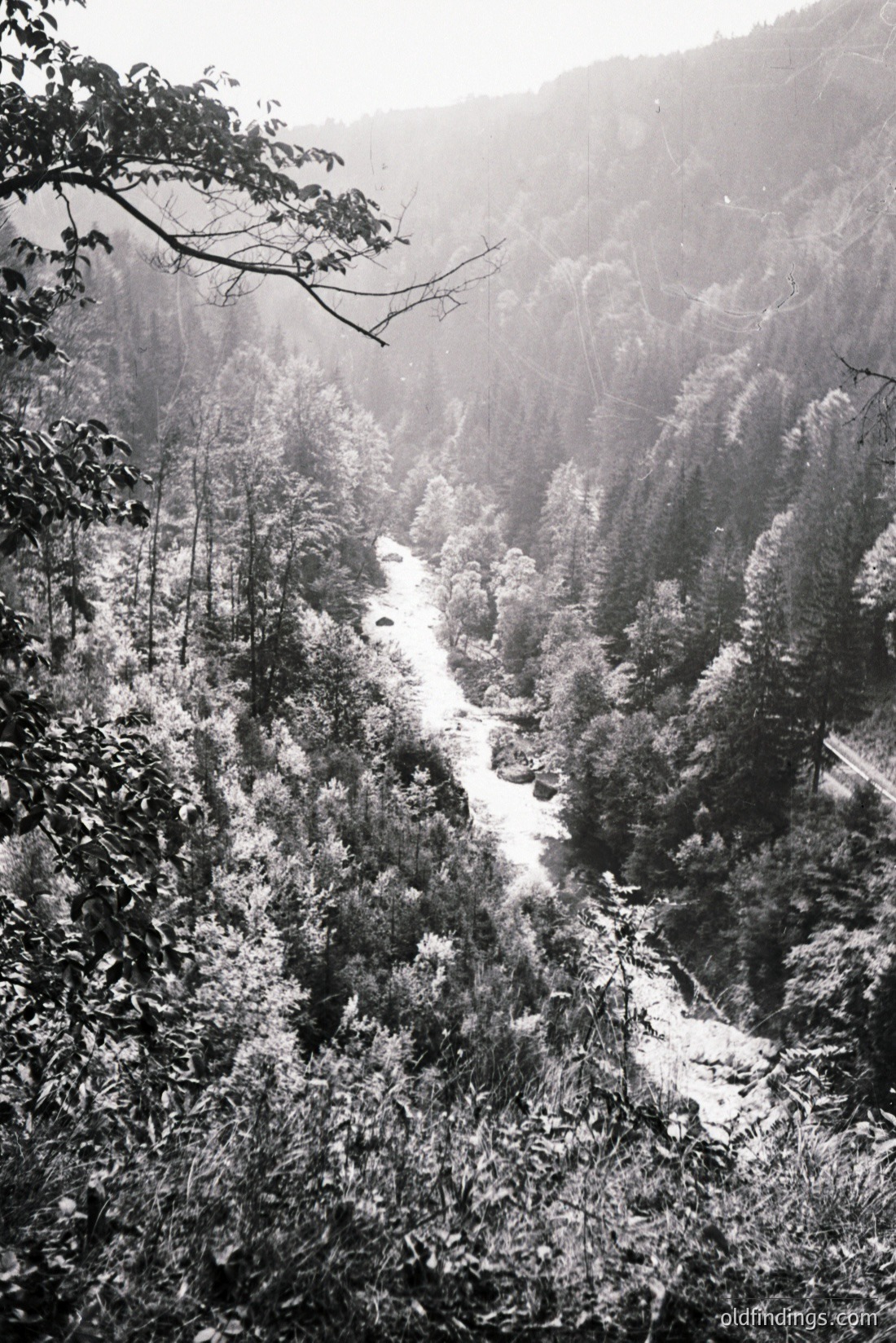 Vintage photograph