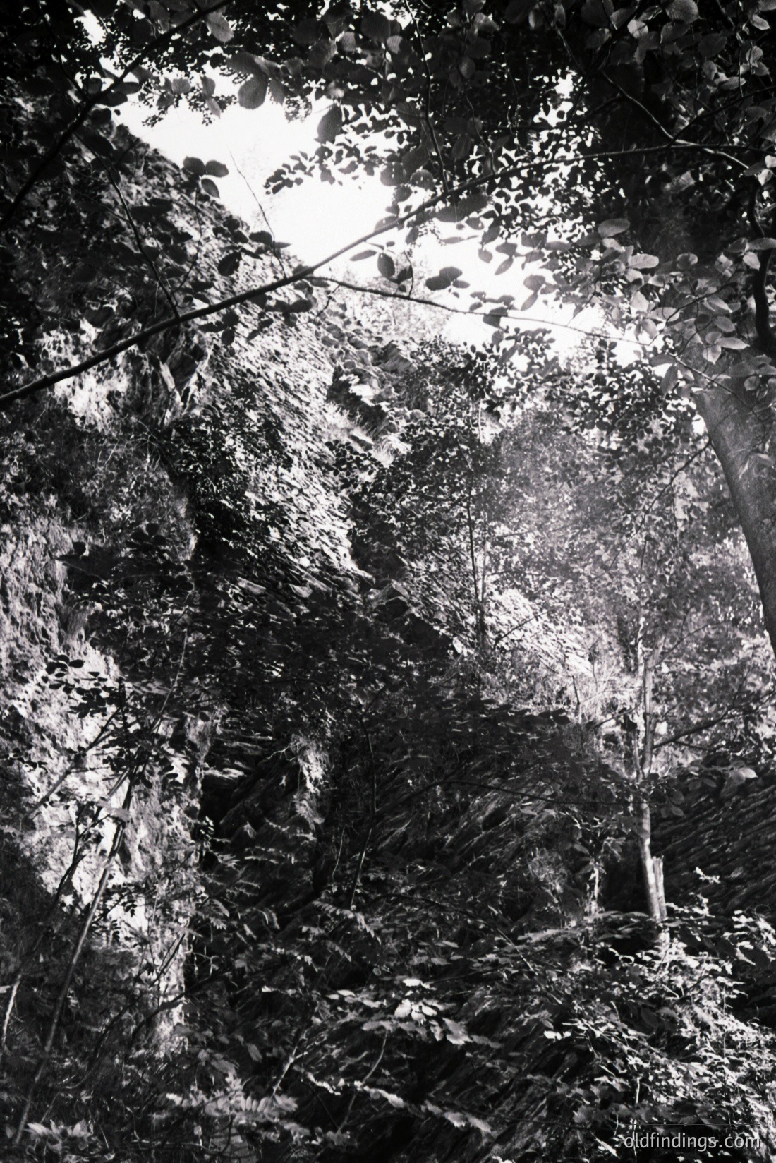 Vintage photograph