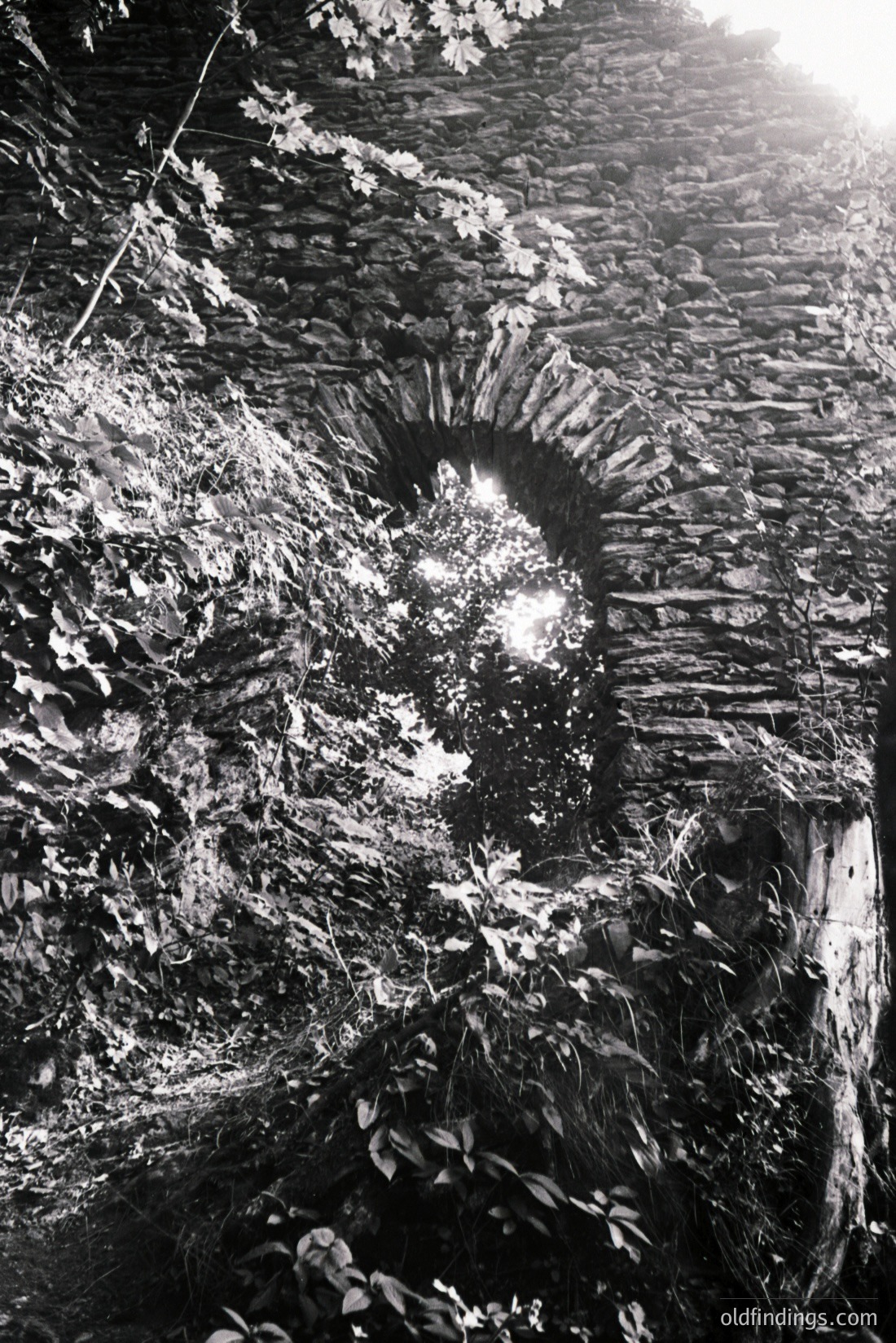 Vintage photograph