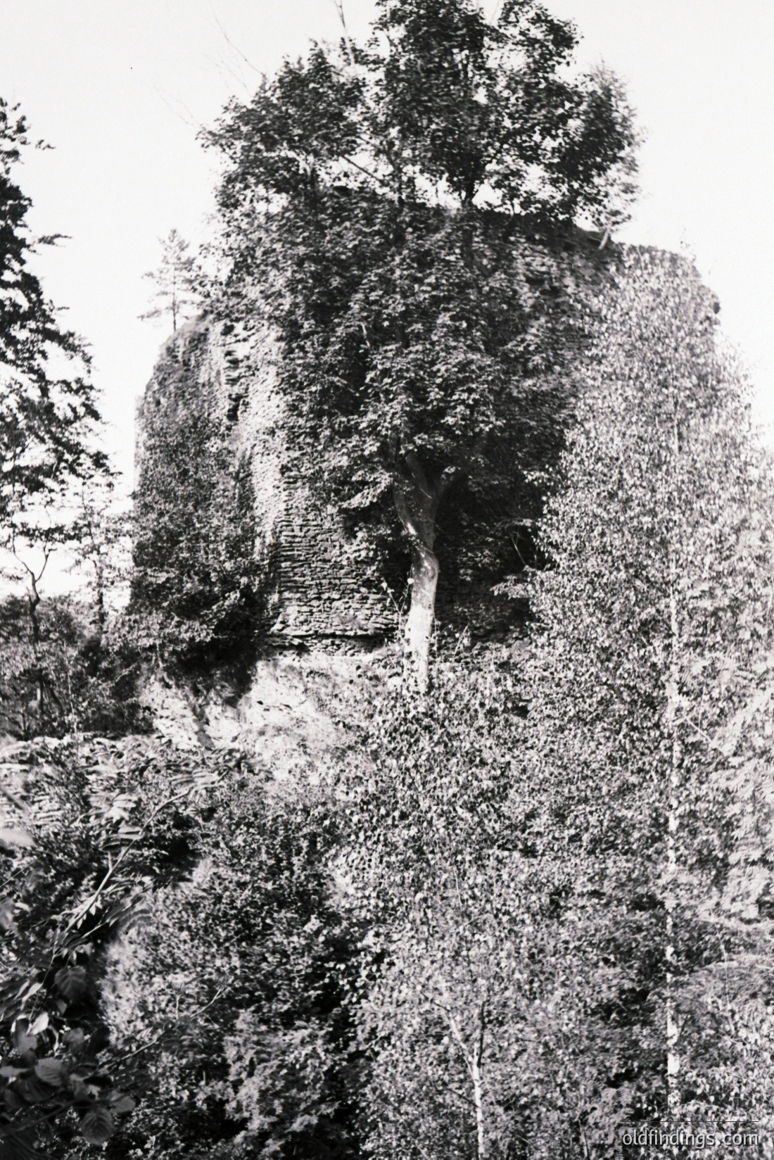 Vintage photograph
