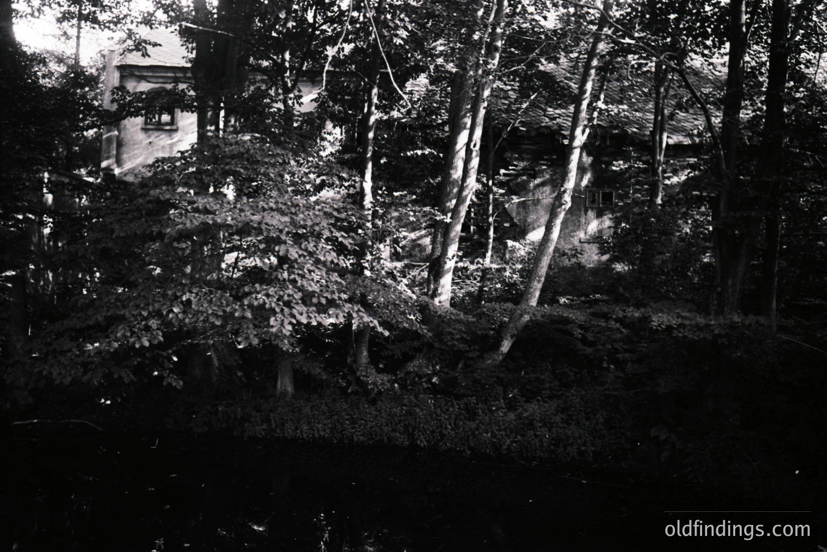 Vintage photograph