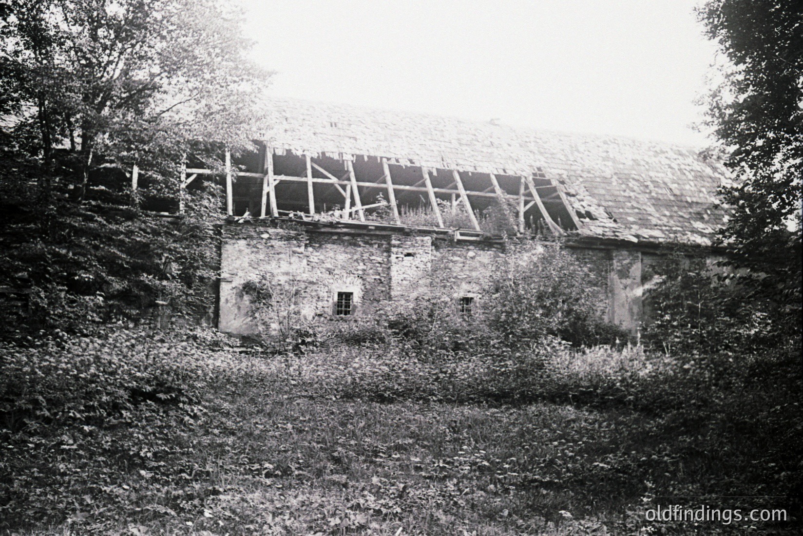 Vintage photograph