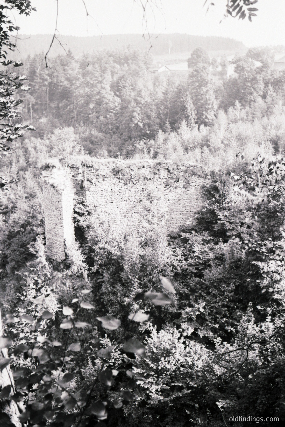 Vintage photograph