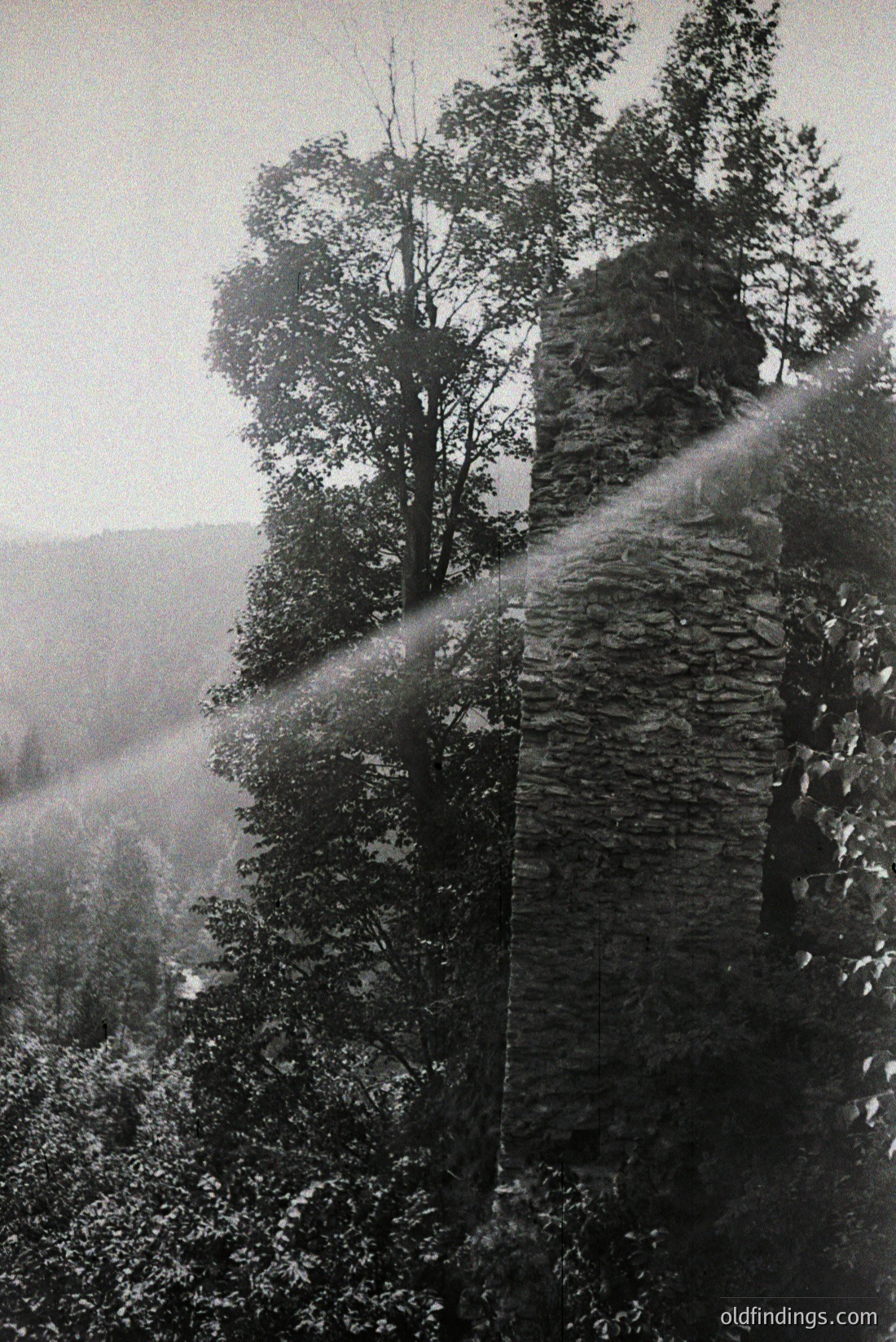Vintage photograph