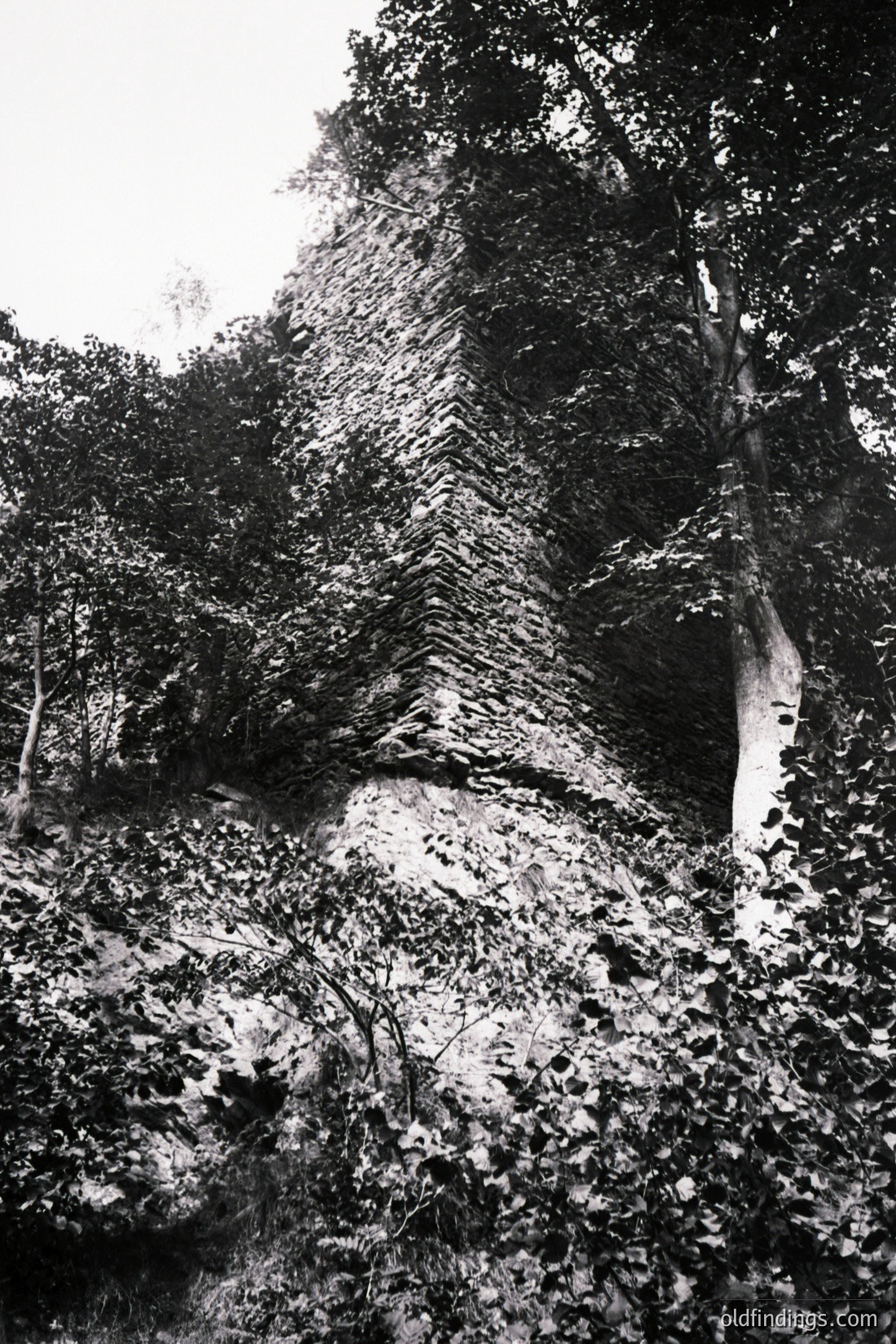 Vintage photograph