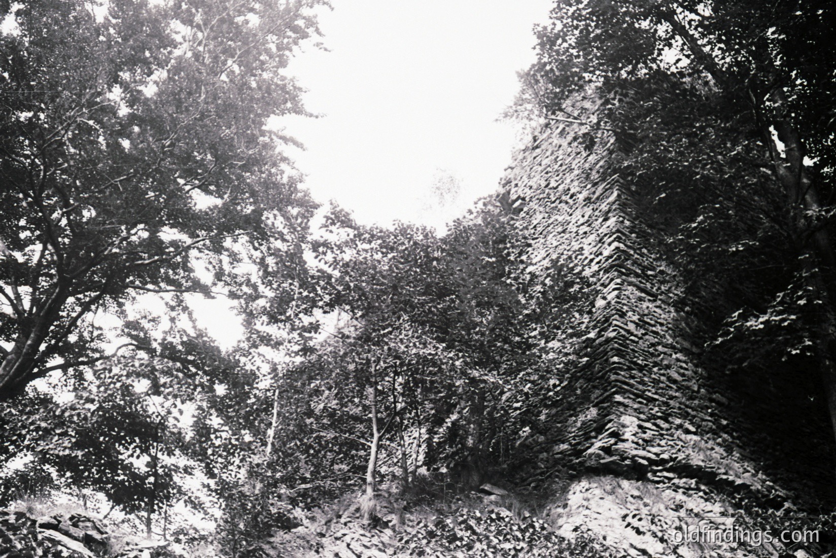 Vintage photograph