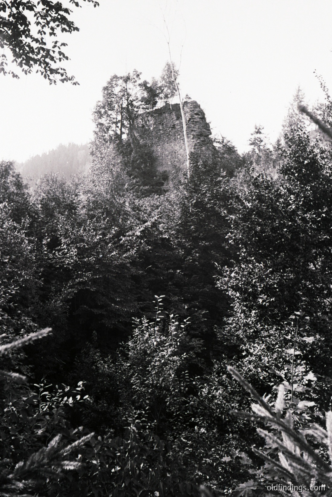 Vintage photograph